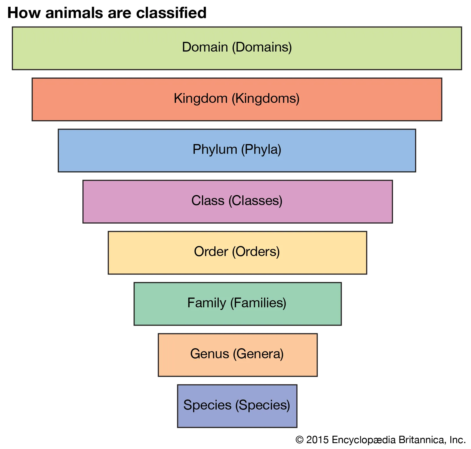 <ol><li><p>Domain</p></li><li><p>Kingdom</p></li><li><p>Phylum</p></li><li><p>Class</p></li><li><p>Order</p></li><li><p>Family</p></li><li><p>Genus</p></li><li><p>Species</p></li></ol><p></p>