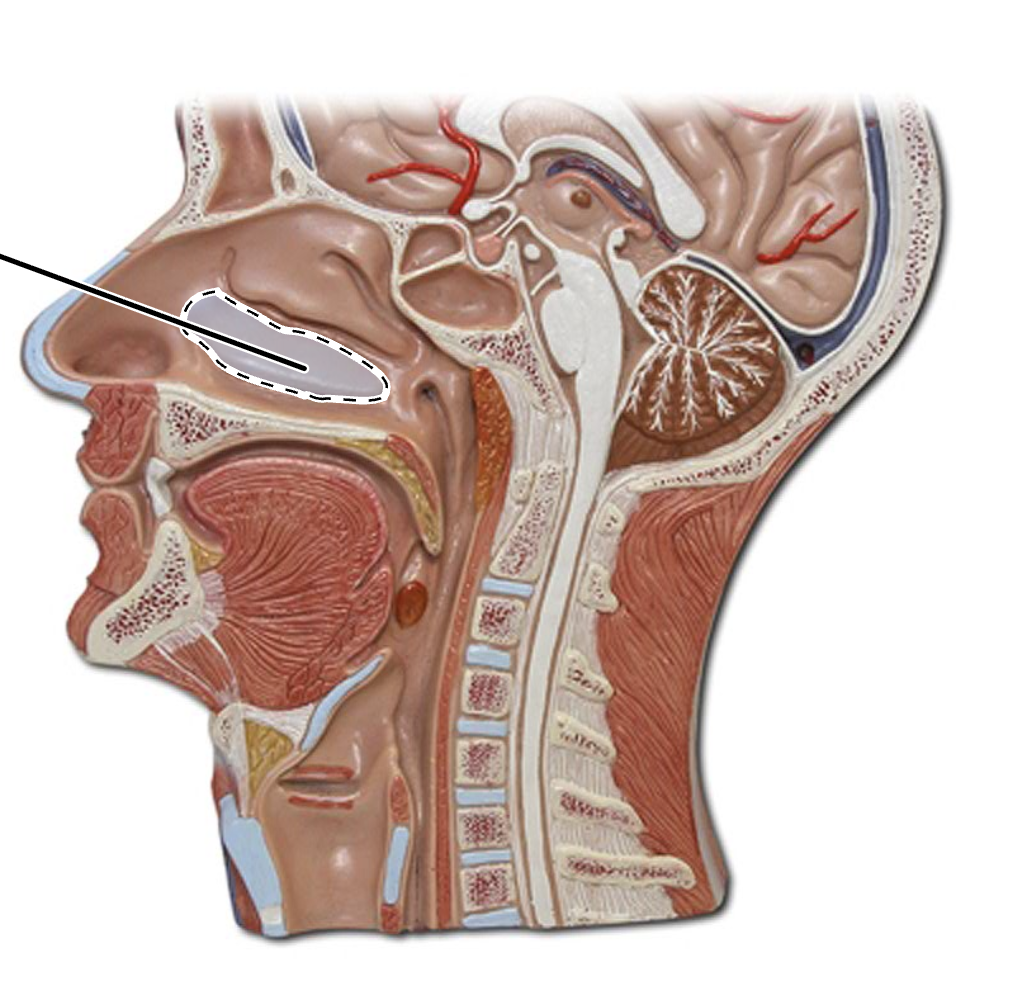 <p>What is this?</p>