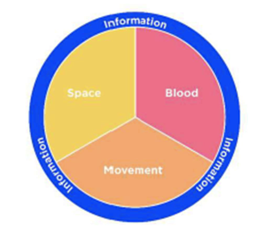 <ul><li><p><span>Commonly seen in therapy, i.e., radiculopathy</span></p></li><li><p><span>Traditional treatments – mobilization and manipulation</span><br><span>– Careful with overpressure</span><br><span>– Watch for latency</span></p></li><li><p><span>Neurodynamics:</span><br><span>– Sliders and Tensioners</span><br><span>– Space, movement and blood flow</span><br><span>– Pain neuroscience education</span><br><span>– Graded motor imagery</span></p></li></ul><p></p>
