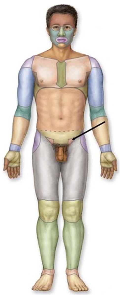 knowt flashcard image