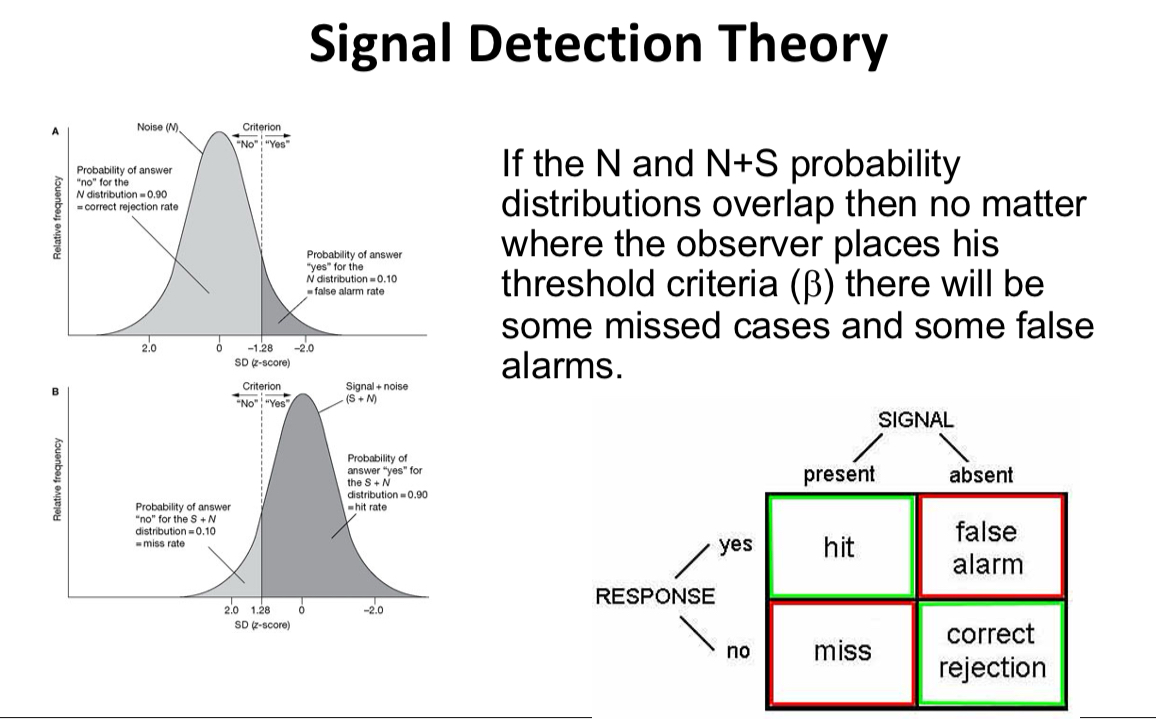 <p>Explain the graphs</p>