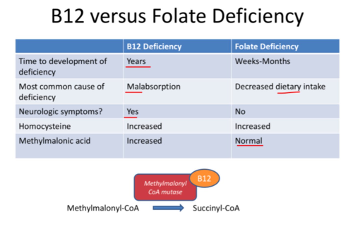 <p>Megaloblastic Macrocytic Anemia --> fatigue, headaches, difficulty concentrating, shortness of breath, heart palpitations</p><p>Neural tube defects --> Spina bifida & Anencephaly</p>