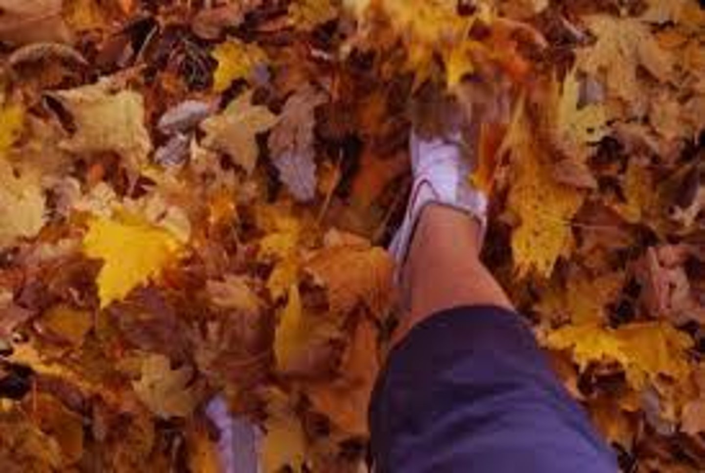<p>the sound made by the movement of things such as leaves or paper</p><p>e.g.: The leaves ______d in the breeze.</p>