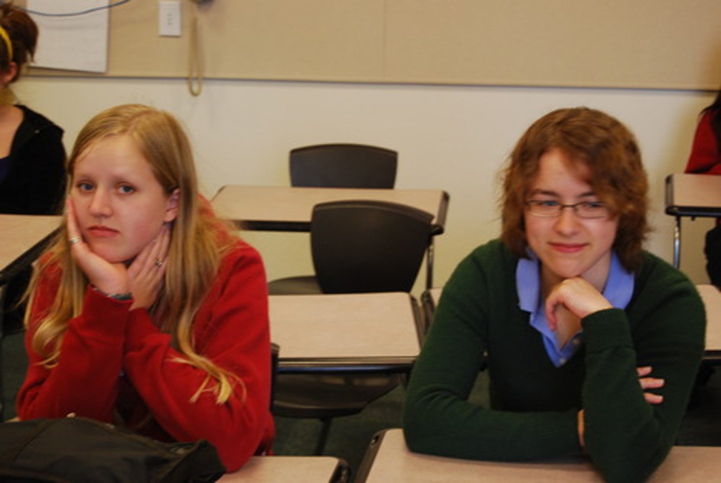 <p>They (female) are bored.</p>