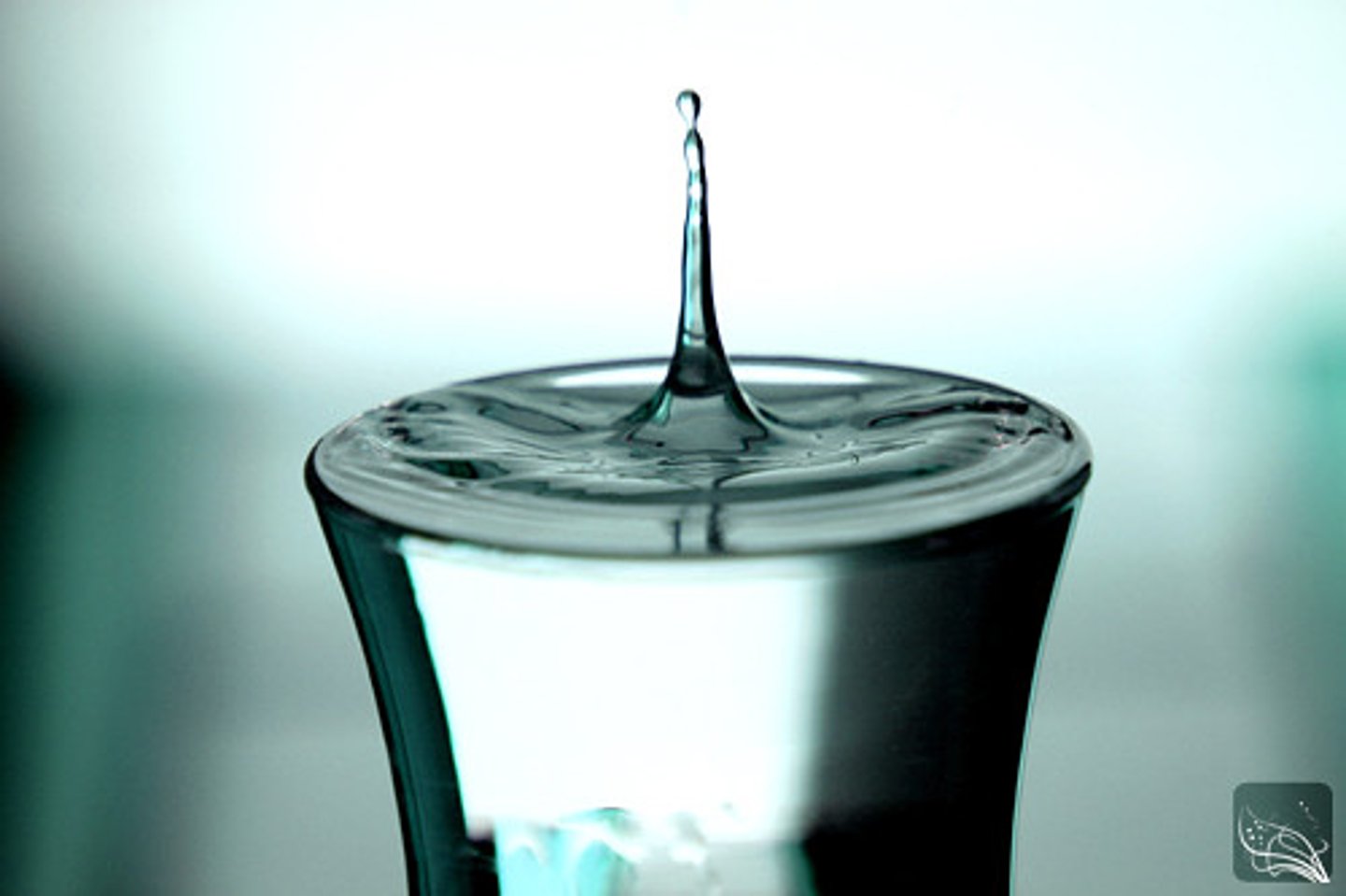 <p>a solution in which water is the solvent</p>