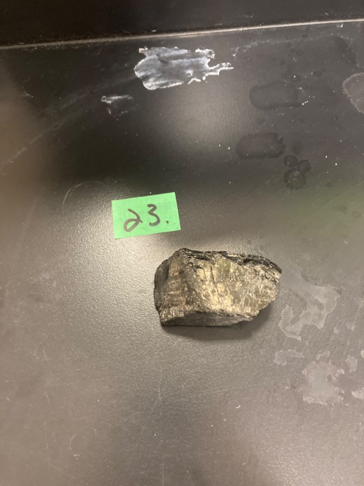 <p>This is………………….. Why is it NOT a mineral? </p>