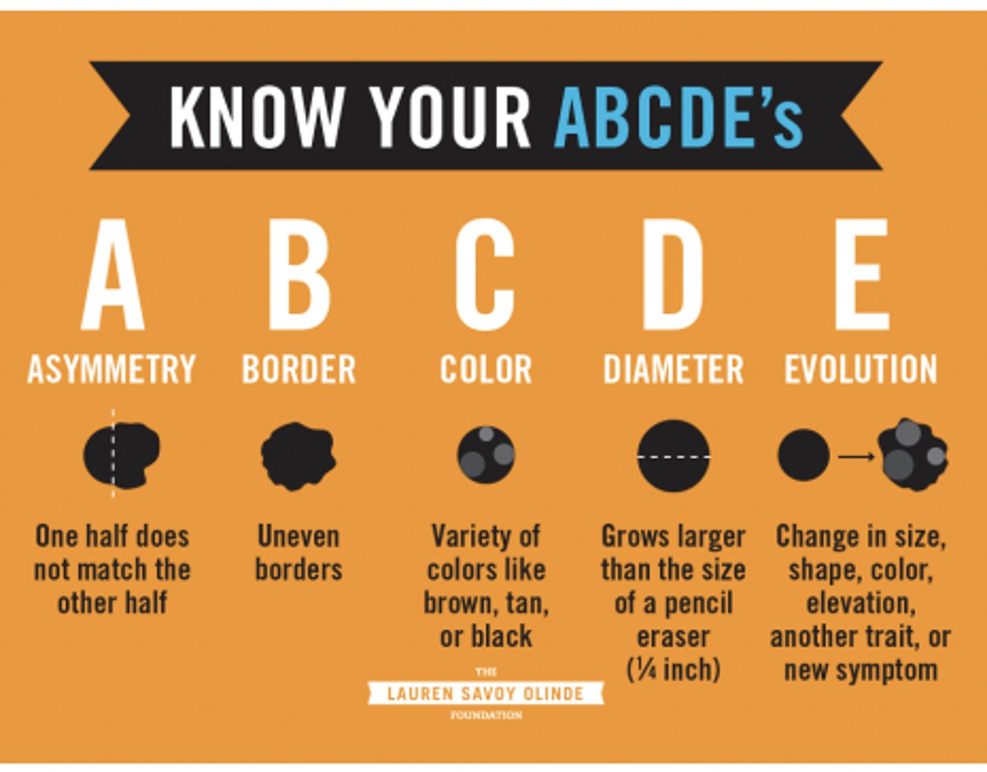 <p>A- asymmetry</p><p>B- border</p><p>C- color</p><p>D- diameter</p><p>E- elevation</p>