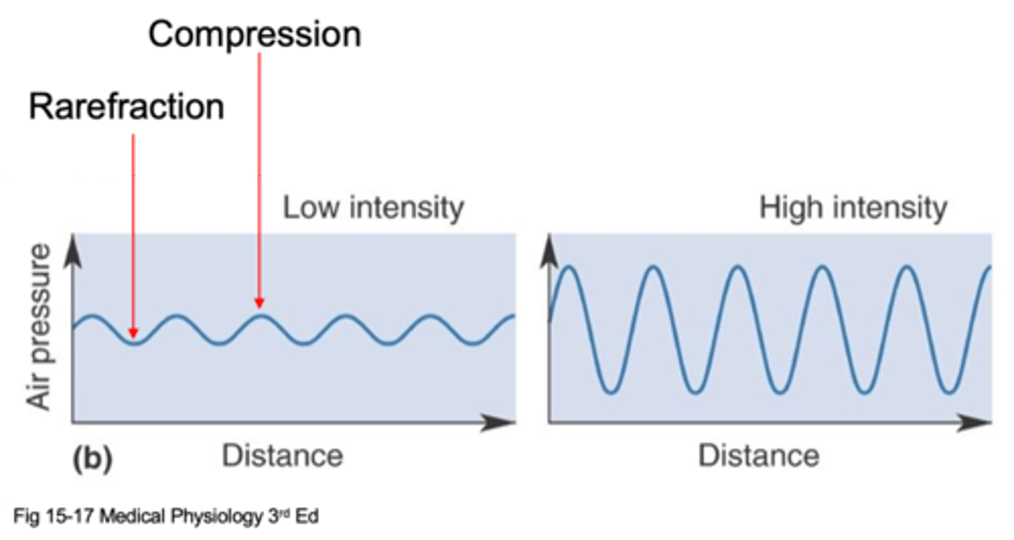 <p>What is intensity/amplitude expressed as?</p>