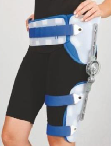 <p>what is the name, type, and purpose of this LE orthotic?</p>