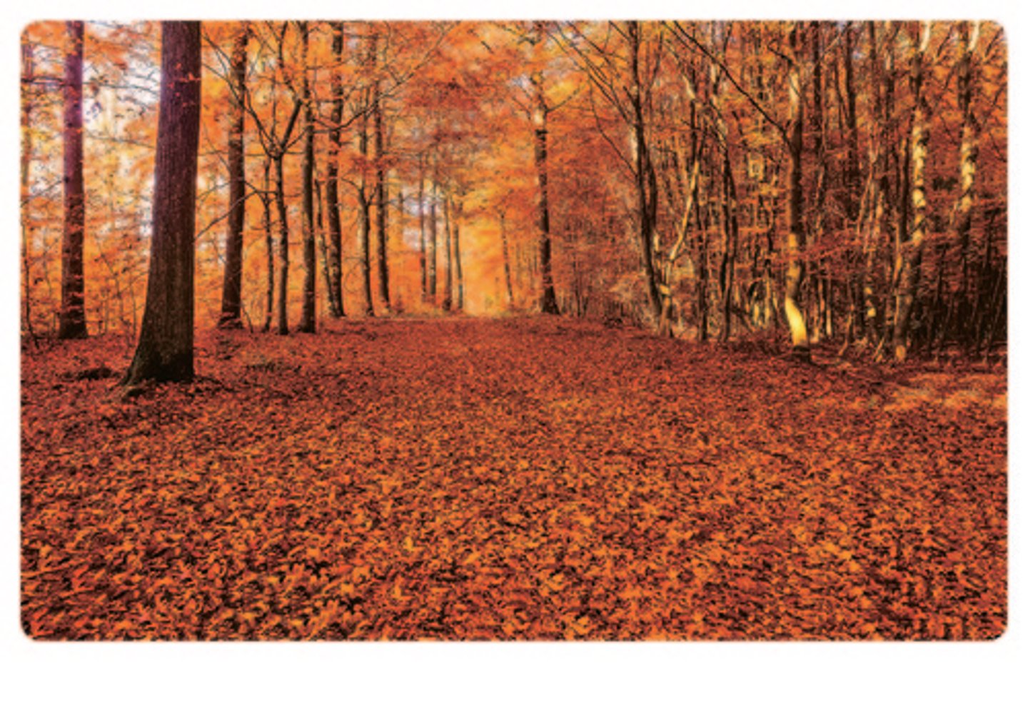 <p>/ˈɔː.təm/ (UK), /ˈɑː.təm/ (US: fall) - mùa thu → in autumn / in fall → Leaves fall in autumn. (Lá rụng vào mùa thu.)</p>