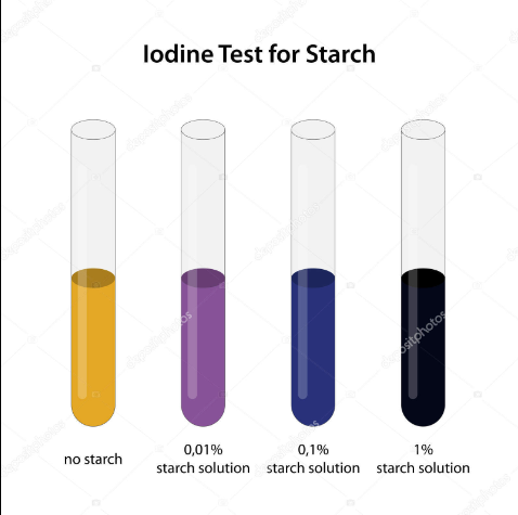 <p>What is the test for identifying starch? How is it completed? </p>