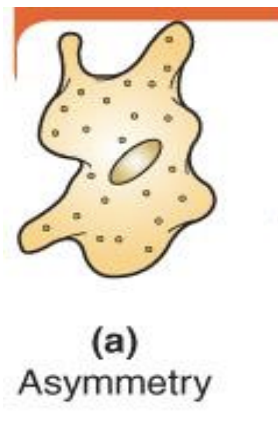 body lacks any definite form or geometry