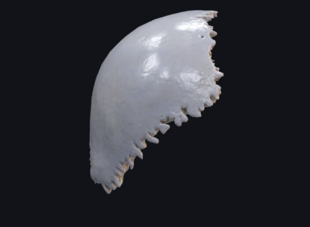 <p>What is this?</p>