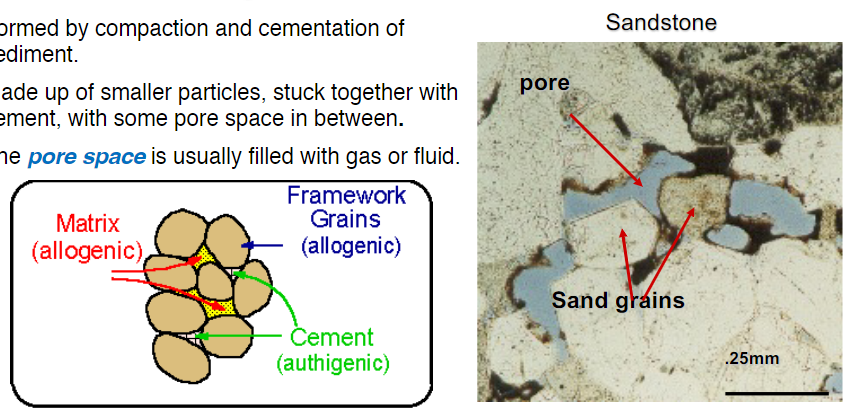 <ul><li><p>by compacting and cementation of sediment </p></li><li><p>made up of small particles, stuck tgt w/ cement, w/ some pore space in bet</p><ul><li><p>pore space usually filled w/ gas or fluid</p></li></ul></li></ul>