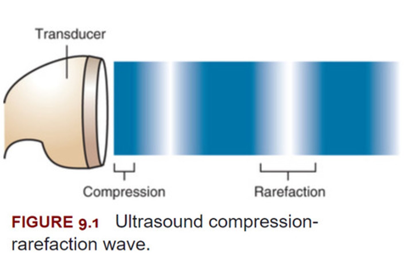 <p>-Ultrasound most effectively heats deep tissue with a high collagen content such as tendons, ligaments, joint capsules, and fascia.</p><p>-Ultrasound is a type of sound and like all forms of sound, consists of waves that transmit energy by alternately compressing and rarefying material.</p>