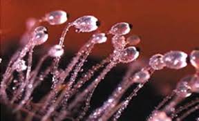 <p>What is this?</p>