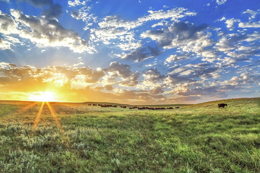 <p>When an individual experiences fear specific to leaving their home and traveling to public places</p>