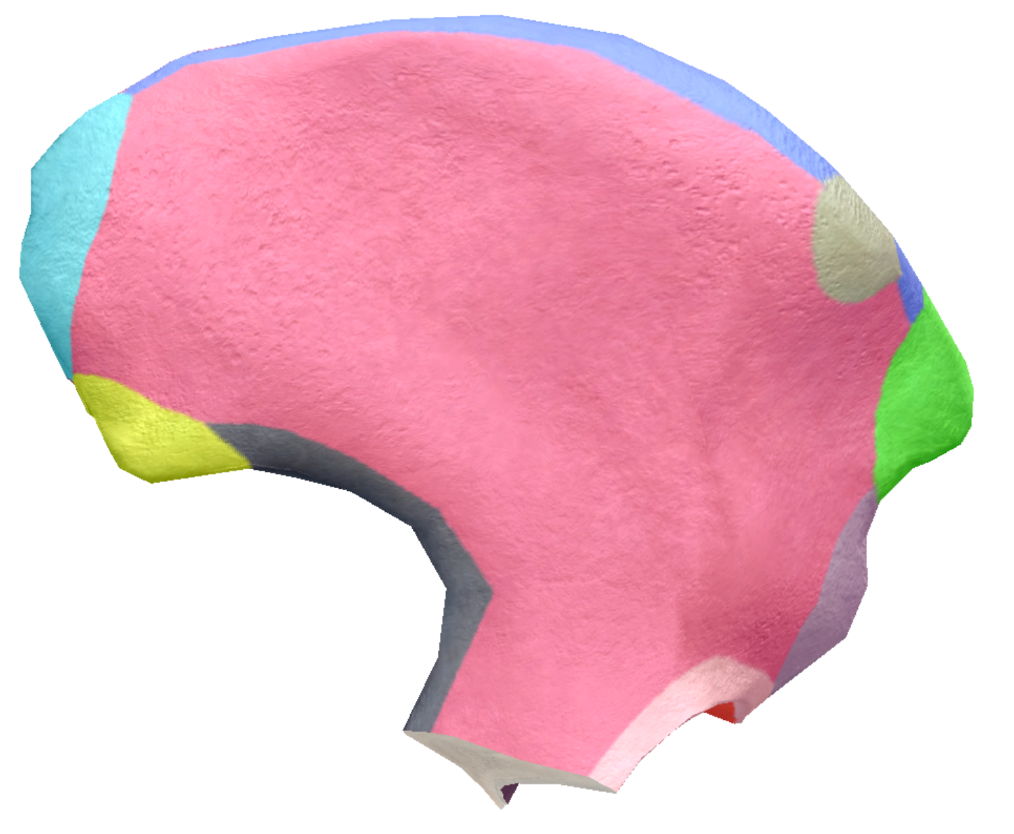 term image
