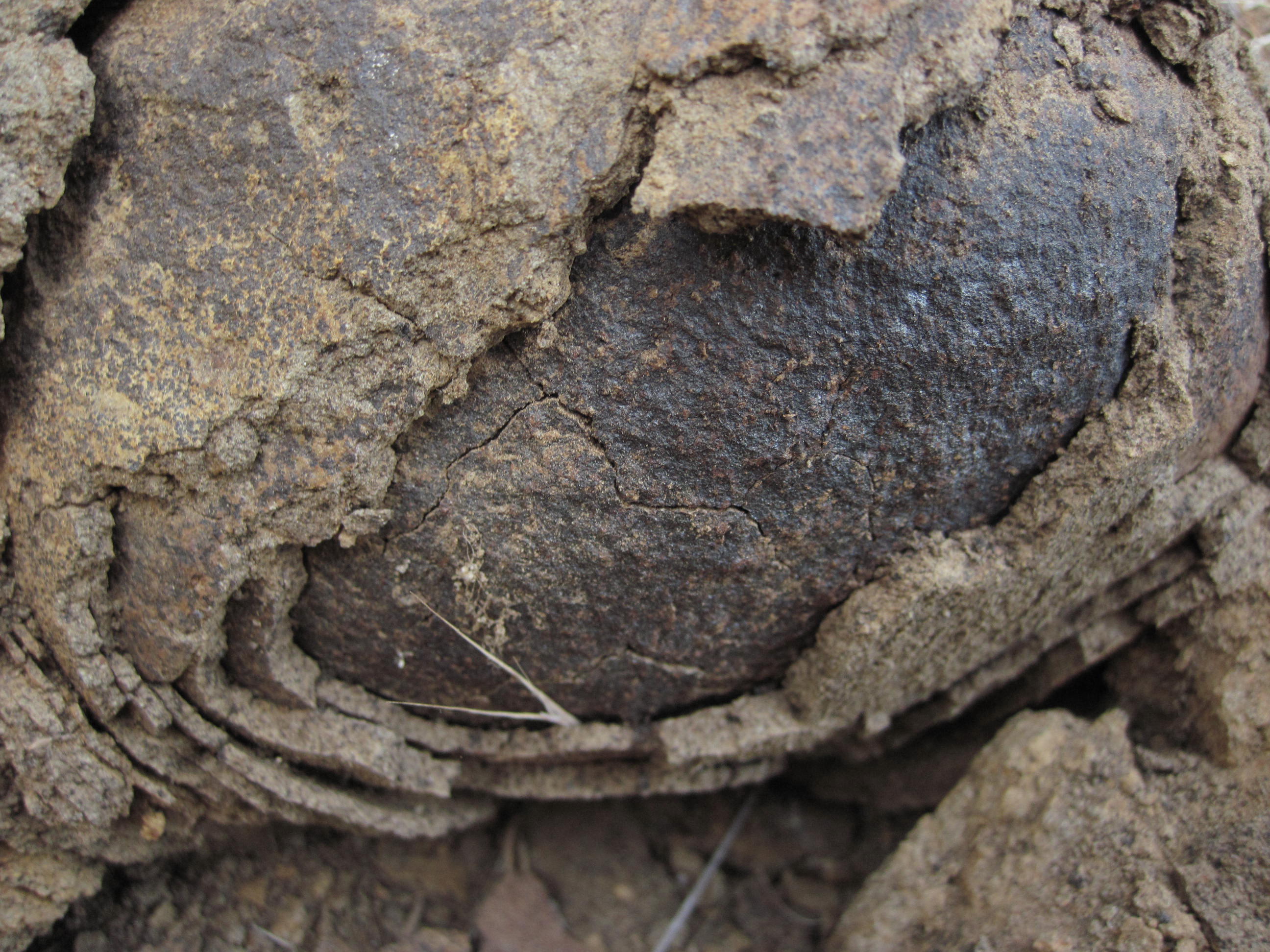 When skin peels off of rocks due to the expansion