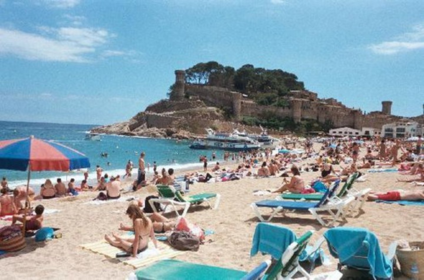 <p>warm climate</p>