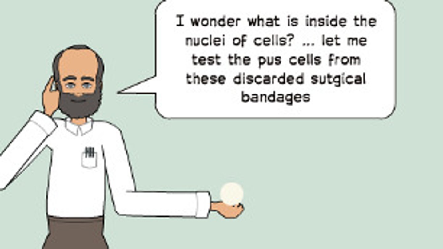 <p>Miescher's experiment helped isolate the nucleus and identified the two main components of the nucleus: protein and nucleic acids.</p>