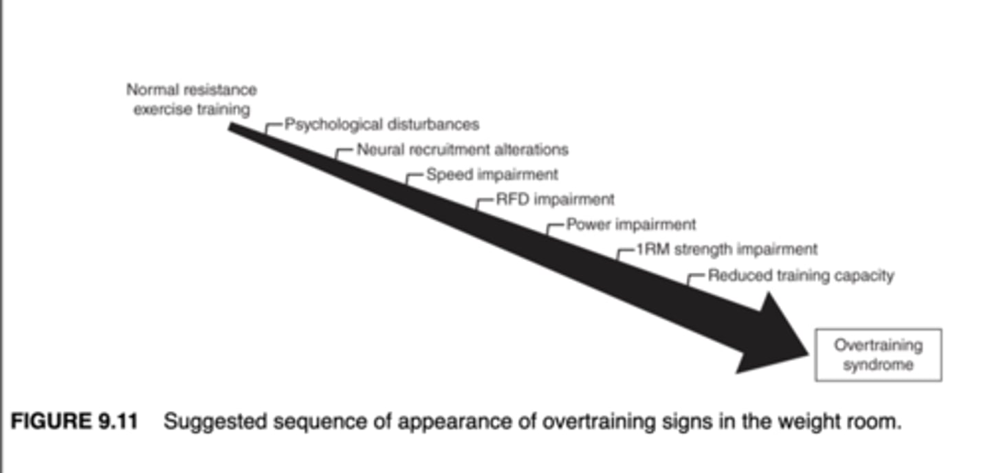 <p>normal RT <br>psychological disturbances<br>neural recruitment alterations<br>speed impairment<br>RFD impairment<br>Power impairment<br>1RM strength impairment<br>reduced training capacity <br>OTS</p>