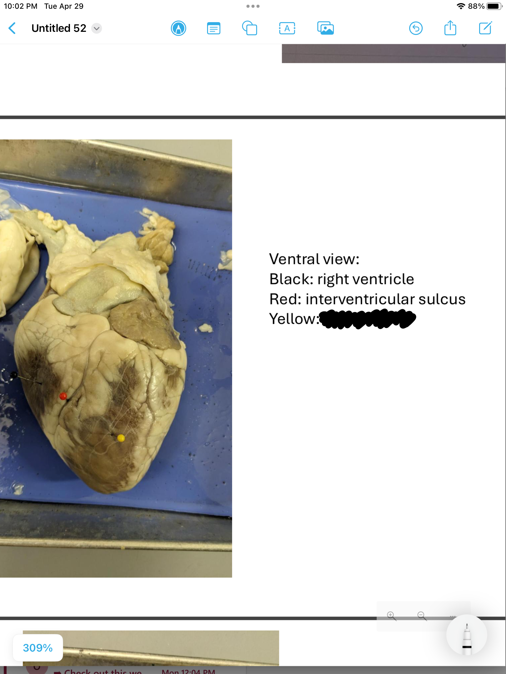 <p>label the area</p>