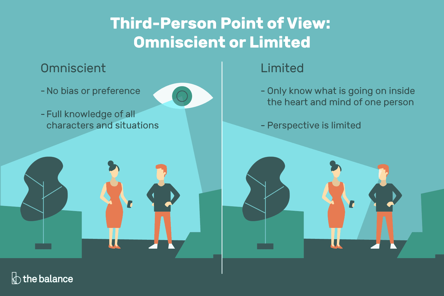 <p>Third-person Limited</p>