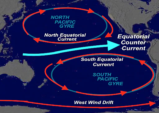 <p>north and south equatorial gyres</p>