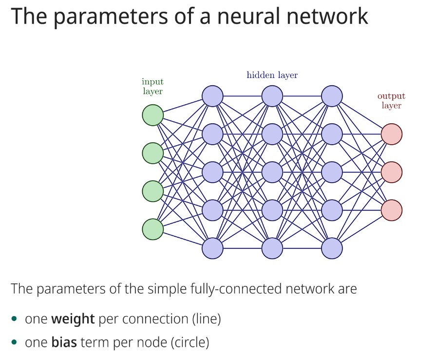 <p>Weight per connection (line) and one bias term per node (circle).</p>
