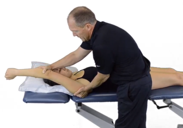 <p>A therapist performs a passive shoulder flexion on a patient to her end range. What would be the expected end feel with minimal pain reported? </p>