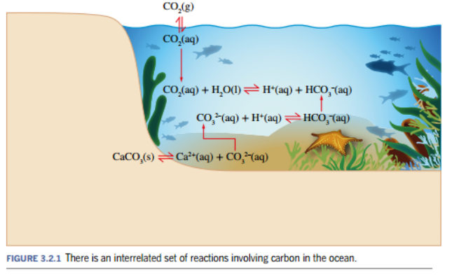 <ul><li><p>The study of chemical processes that occur in the natural environment and how these processes are impacted by human actives. </p></li><li><p>An example of environmental chemistry is studying how certain sea creatures (like shellfish) use calcification to survive and how calcification is negatively impacted by the excess carbon dioxide human have release into the atmosphere.  </p></li></ul><p></p>