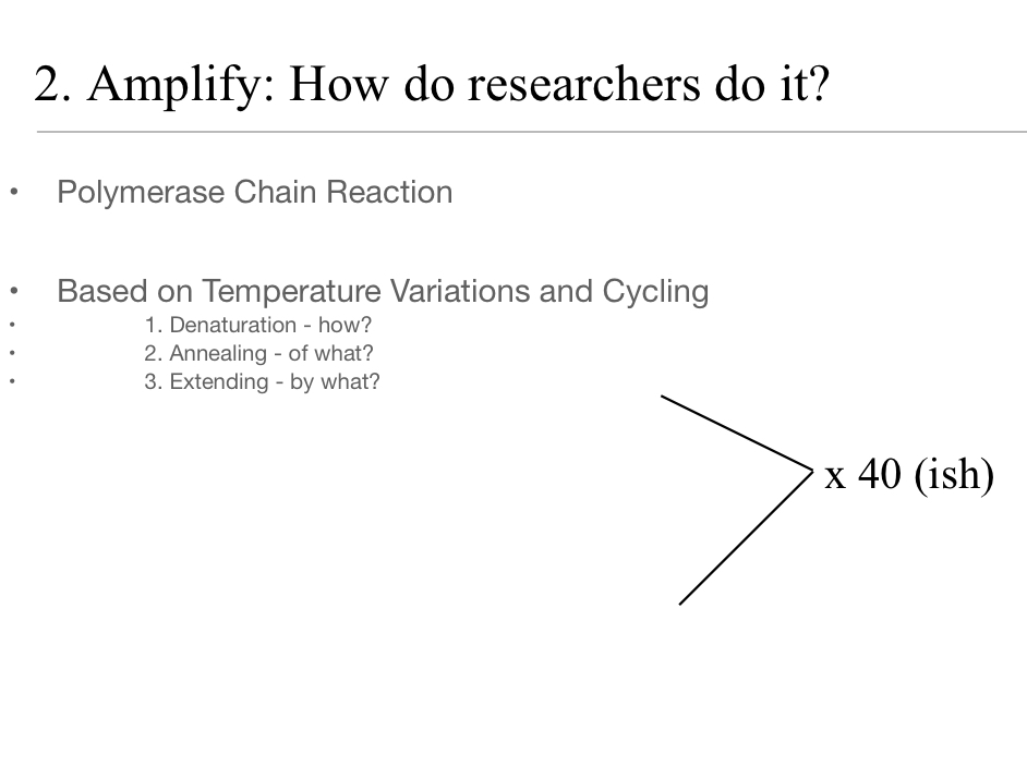 <p>Can be done naturally or in a lab</p><ol><li><p>Natural Cell Replication</p></li><li><p>PCR (much more efficient) + gel electrophoresis</p></li></ol><p></p>