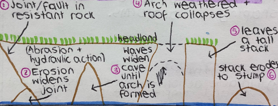 knowt flashcard image