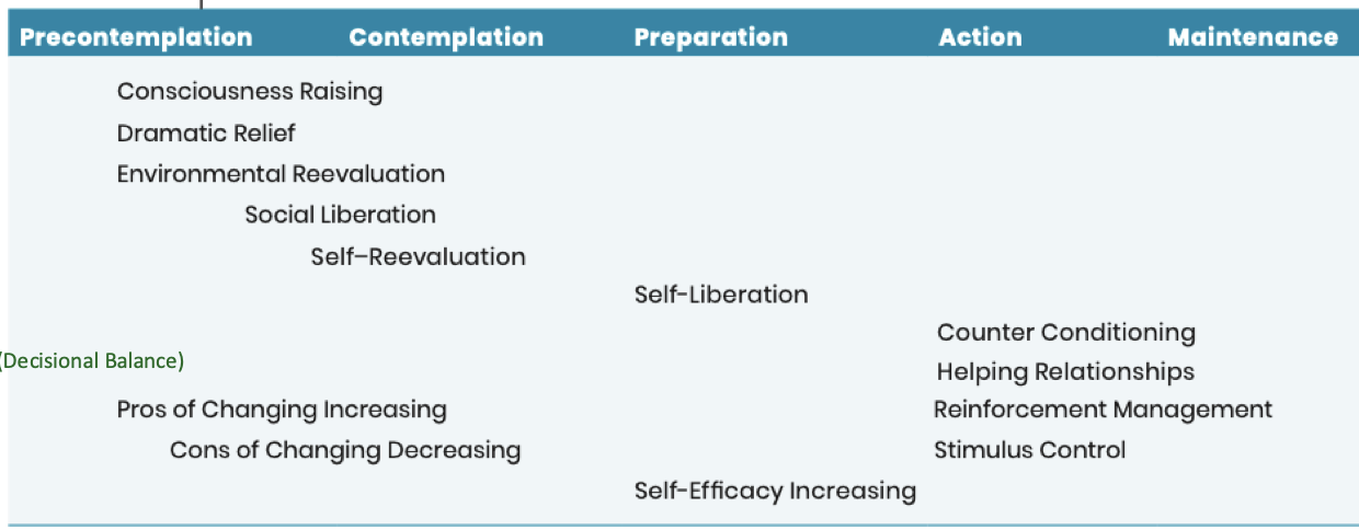 <ul><li><p><span><strong><span>Consciousness-Raising:</span></strong><span> Increasing awareness about causes and consequences of behavior.</span></span></p></li><li><p><span><strong><span>Dramatic Relief (Emotional Arousal):</span></strong><span> Experiencing negative emotions associated with risks, or hope.</span></span></p></li><li><p><span><strong><span>Environmental Reevaluation:</span></strong><span> Realizing the impact of behavior on others.</span></span></p></li><li><p><span><strong><span>Self-Reevaluation:</span></strong><span> Assessing one's self-image with and without the behavior.</span></span></p></li><li><p><span><strong><span>Social Liberation:</span></strong><span> Realizing society supports the new behavior.</span></span></p></li><li><p><span><strong><span>Self-Liberation:</span></strong><span> Making a firm commitment to change.</span></span></p></li><li><p><span><strong><span>Counterconditioning:</span></strong><span> Replacing unhealthy behaviors with healthier ones.</span></span></p></li><li><p><span><strong><span>Environment Control (Stimulus Control):</span></strong><span> Managing cues that trigger unhealthy habits.</span></span></p></li><li><p><span><strong><span>Reinforcement Management:</span></strong><span> Rewarding positive behavior.</span></span></p></li><li><p><span><strong><span>Helping Relationships:</span></strong><span> Utilizing social support for change.&nbsp;</span></span></p></li></ul><p></p>