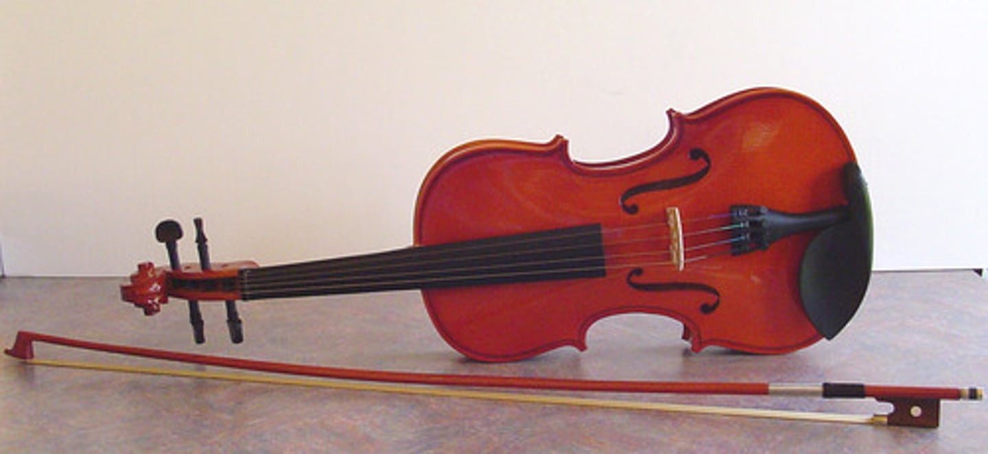 <p>violino</p>