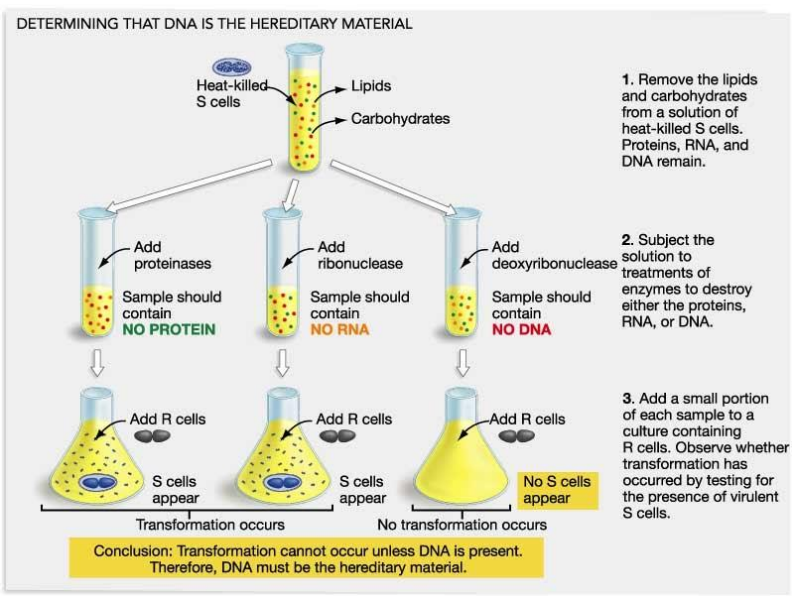 <p>for your reference</p>