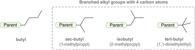 <ol><li><p>Butyl</p></li><li><p>Sec-butyl</p></li><li><p>Isobutyl</p></li><li><p>Tert-butyl</p></li></ol><p></p>
