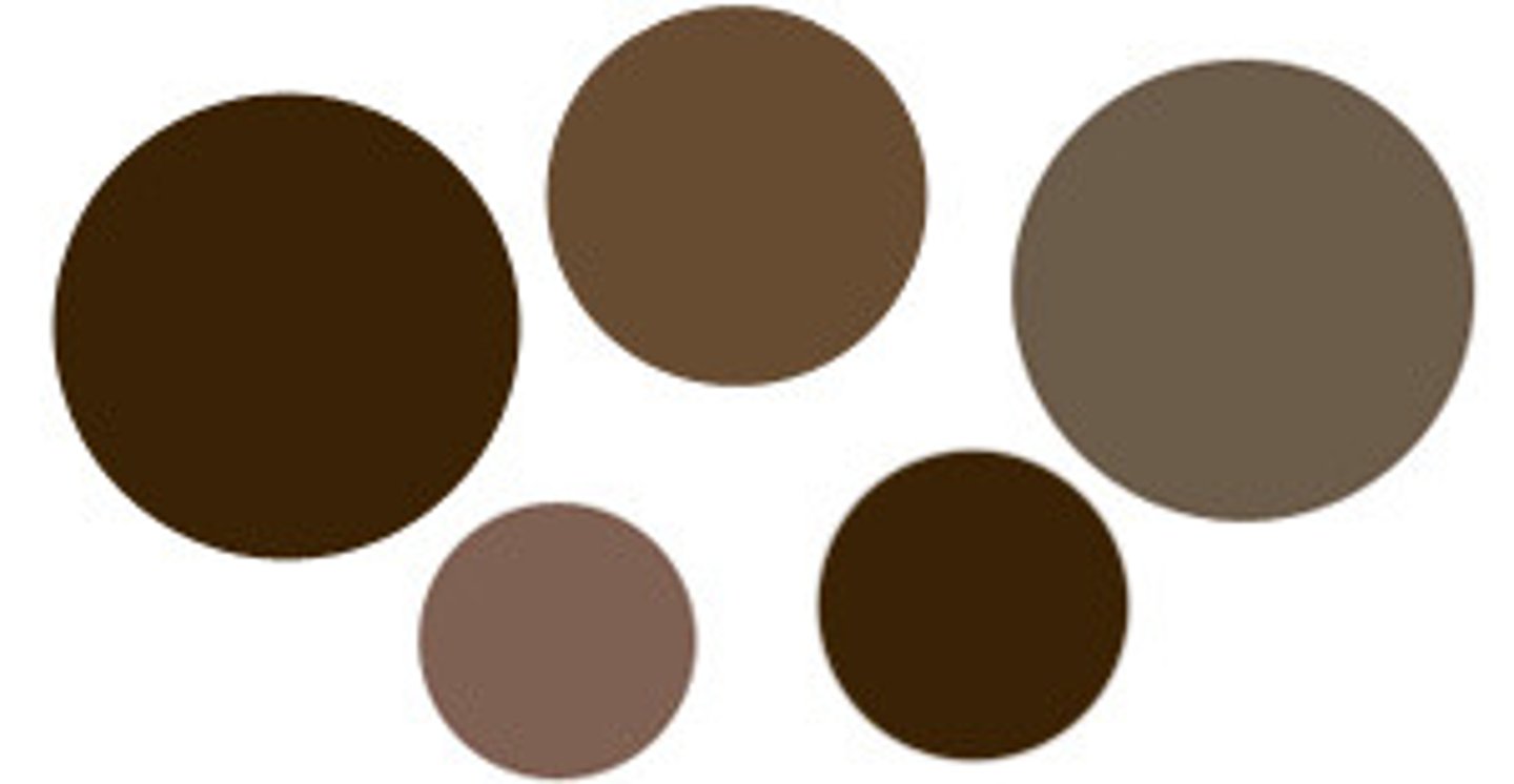 <p>Black color</p>