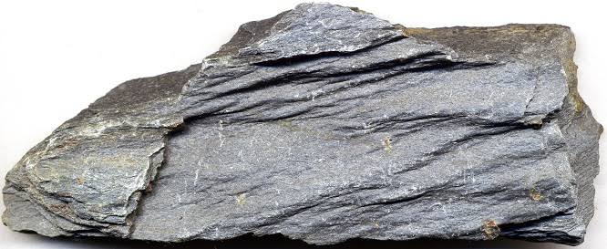 <p>Identify the metamorphic rock</p>
