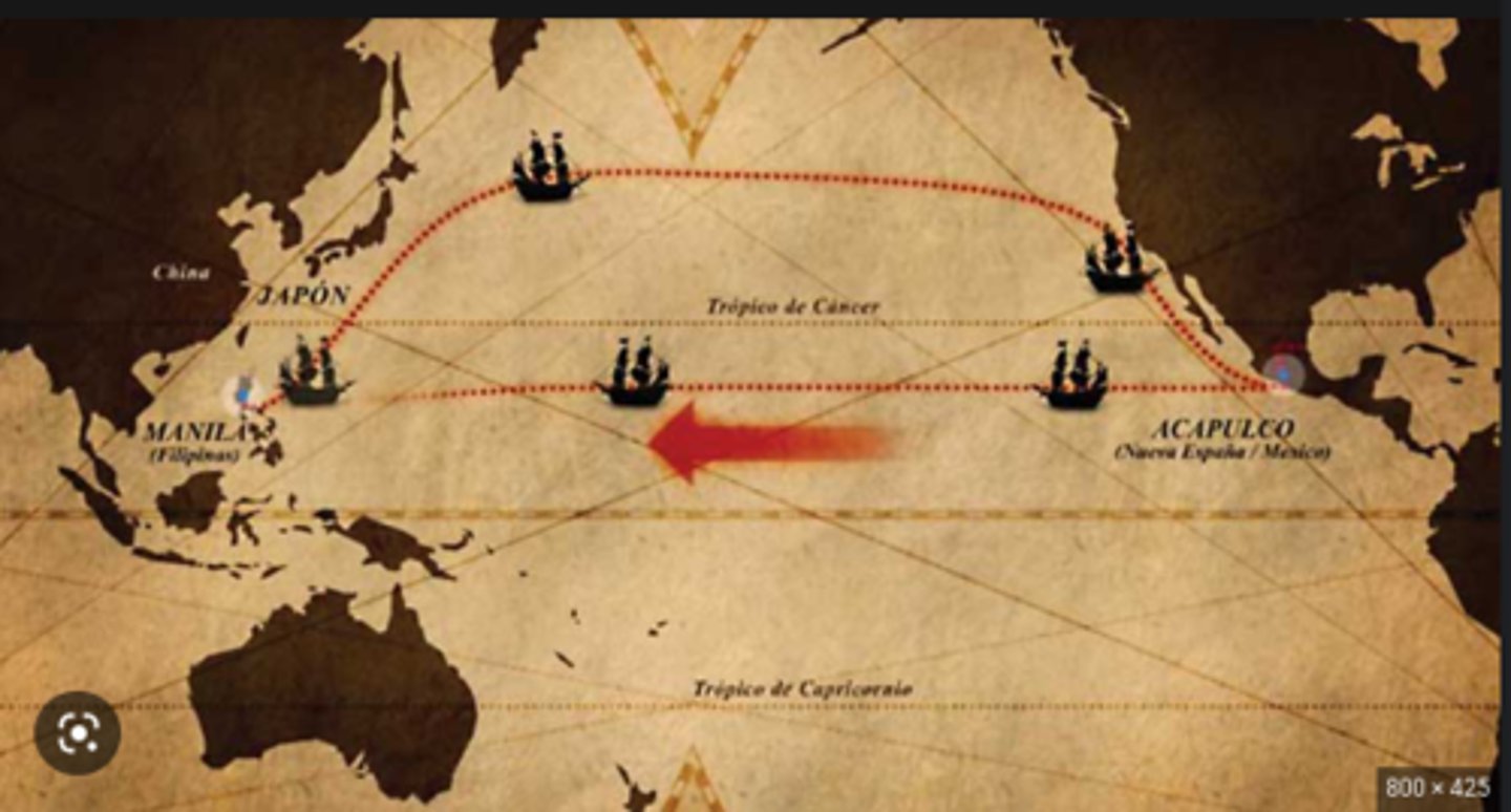 <p>The very profitable trade between Manila in the Philippines and the west coast of the Americas during the 1500- 1700s.</p>