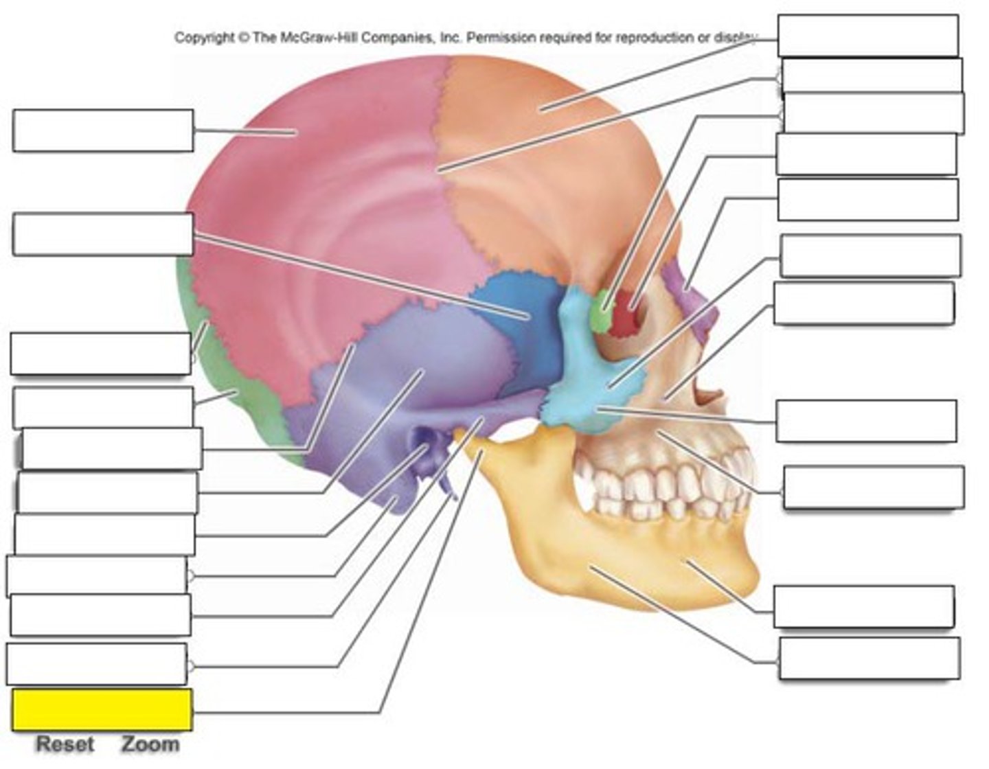 term image