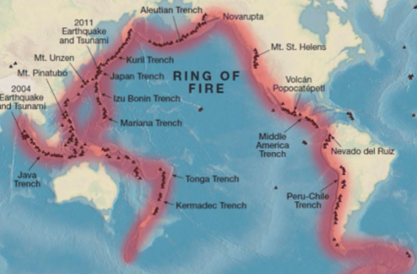 <p>-around the edges of the Pacific Ocean</p><p>- All the deep-sea trenches, volcanic arcs, and earthquakes happen due to subduction</p>