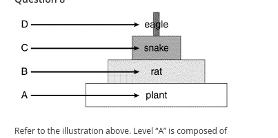 <p>Refer to the illustration above. Level “A” is composed of</p>