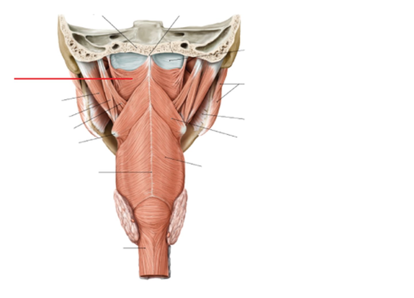<p><em>identify the structure:</em></p>