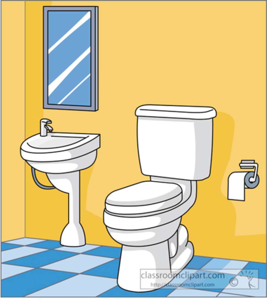 <p>the toilets</p>