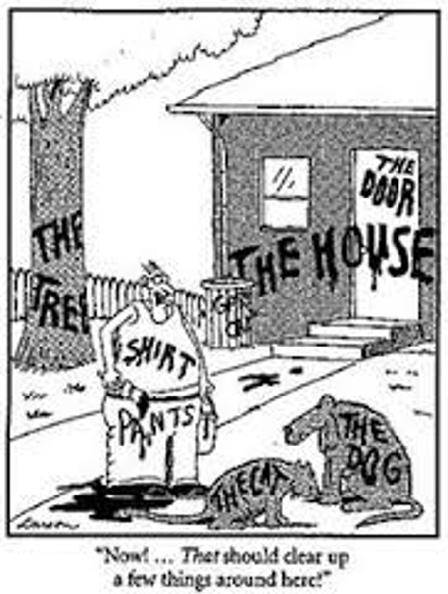 <p>Contains our knowledge of the world, includes facts and our knowledge of what words and concepts mean.</p><p>Concious Recall</p>