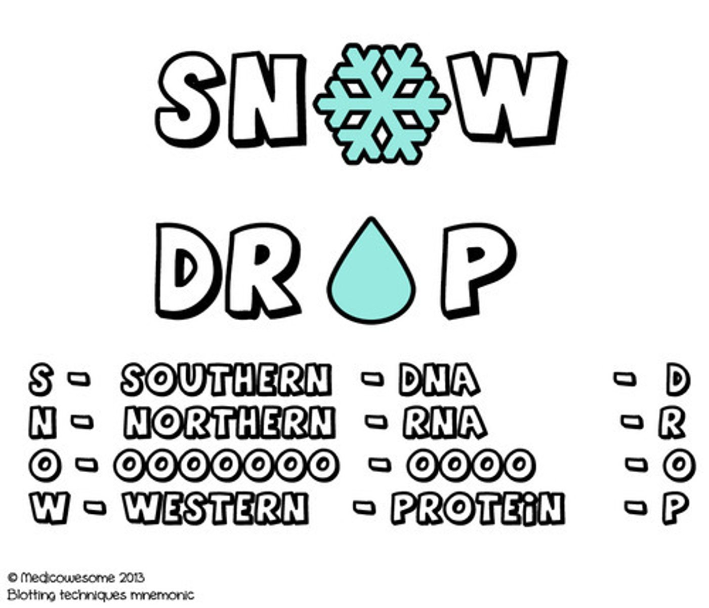 <p>The most common acronym used to remember the different blotting techniques is "SNOW-DROP," where "S" stands for Southern Blot (DNA), "N" for Northern Blot (RNA), "W" for Western Blot (protein), and "D" for the molecule being detected (depending on the blot type).</p>