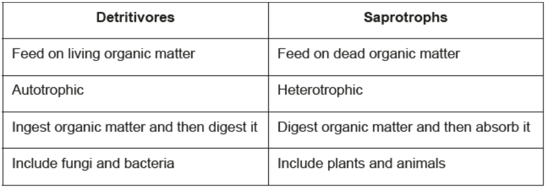 <p>what is a difference between detrivores and saprotrophs?</p>