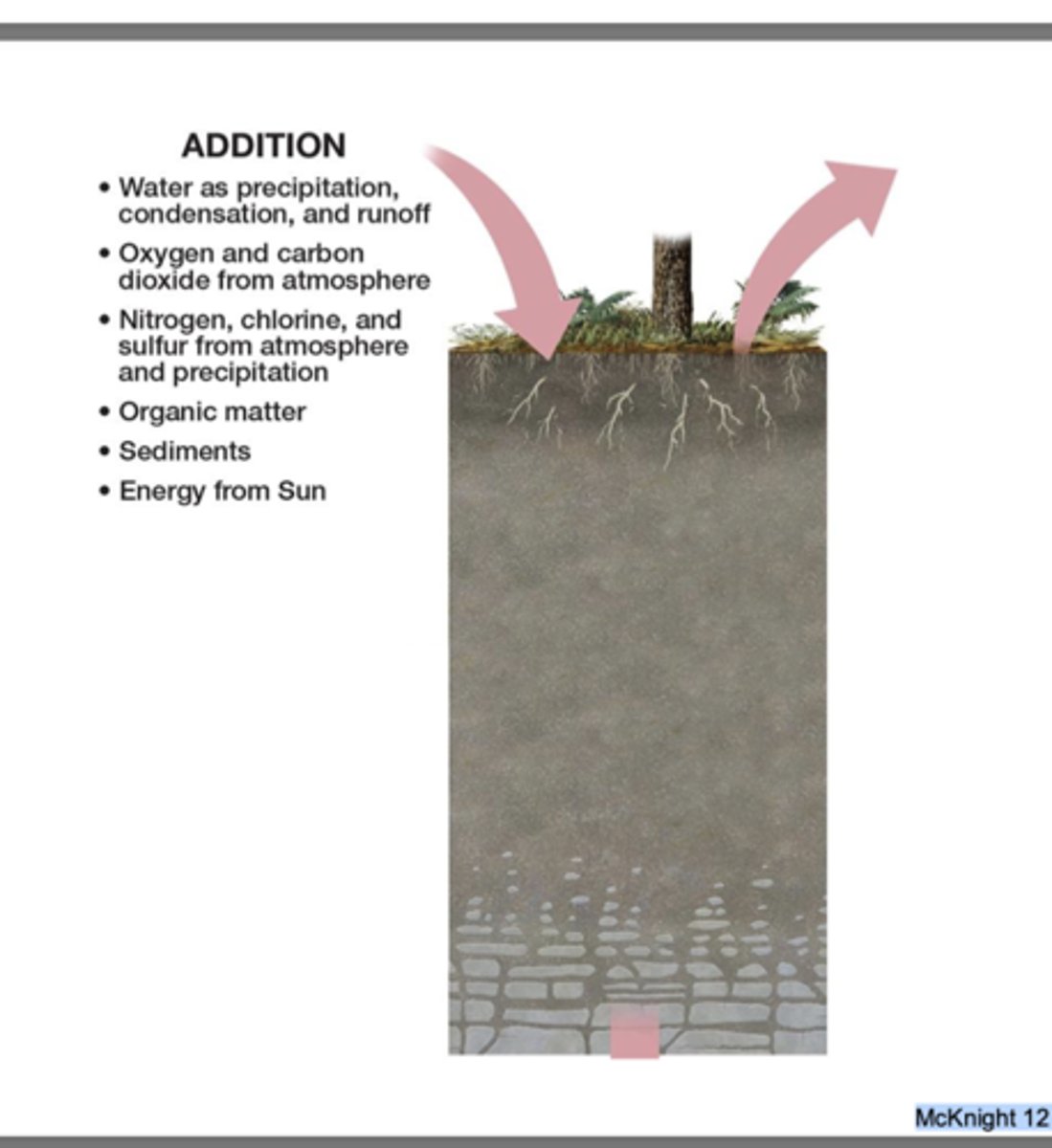 <p>gains to the soil from organic or inorganic sources</p><p>Organic</p><p>leaf litter</p><p>dead organisms</p><p>roots dying and decomposition</p><p>Inorganic</p><p>windblown dust</p><p>sediment carried by water</p><p>anthropogenic pesticides</p>